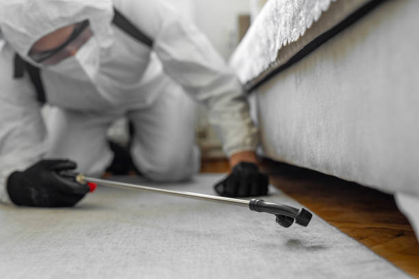 Professional Cockroach Control technician working in Lake Wazeecha, WI